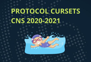 Protocol cursets CNS 2020-2021